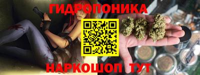 гашиш Сланцы