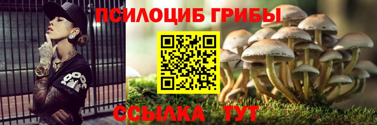 Галлюциногенные грибы Magic Shrooms  наркота  Орёл  Псилоцибиновые грибы Cubensis  Вход с VPN 