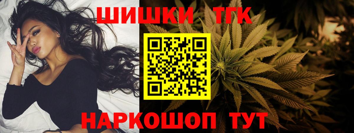 Бошки Шишки план Орёл